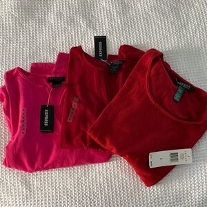 Express Women's Vibrant Sweater Trio